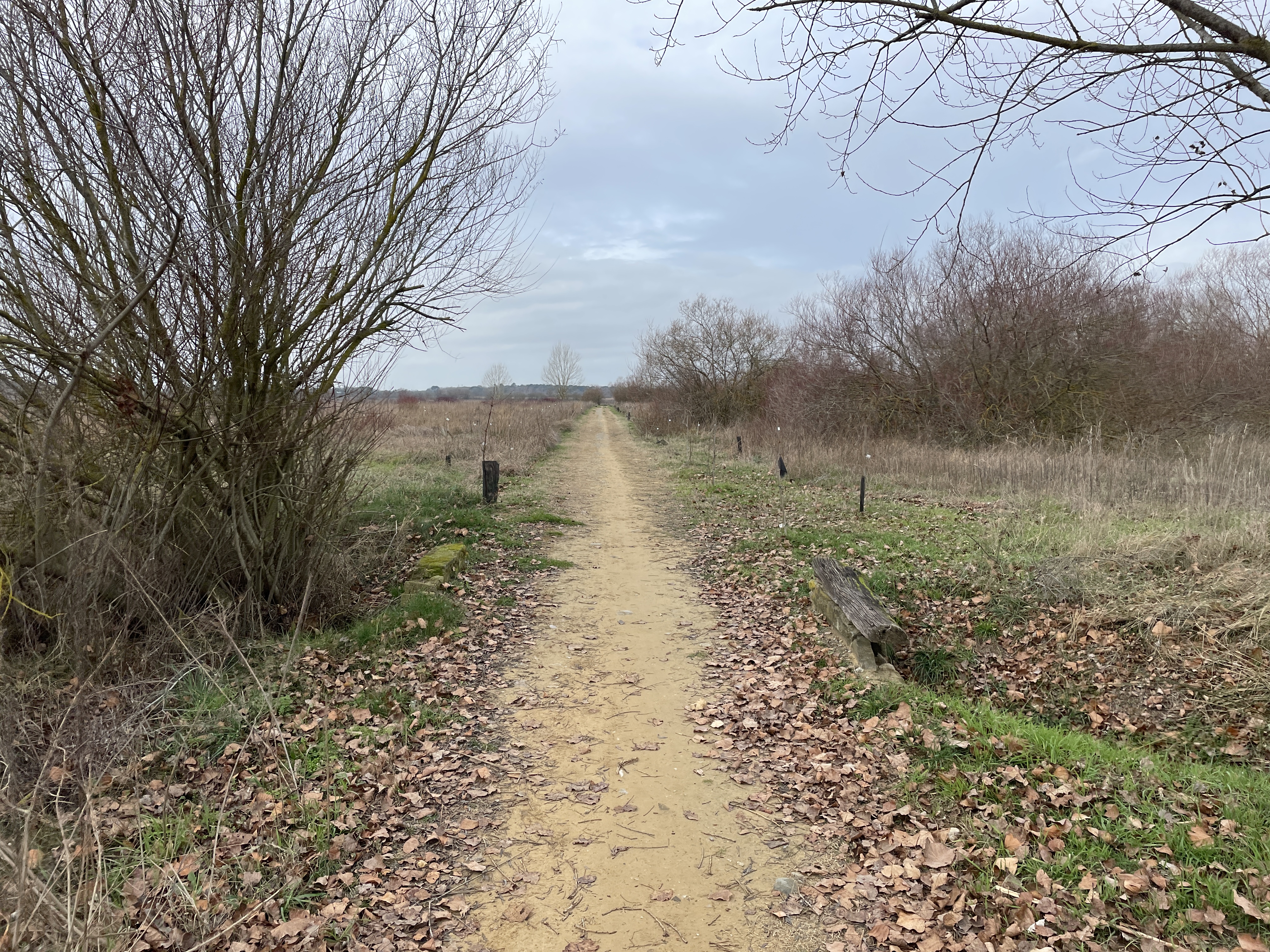 Gravel path with crossing over a watercourse in bare natural landscape. A small wooden barrier to the right